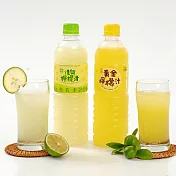 【花蓮新城佳興冰果室】佳興檸檬汁/黃金檸檬汁任選(600mlX12瓶) 黃金檸檬汁12瓶
