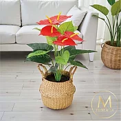 【Floral M】財源滾滾旺財火鶴花仿真植栽