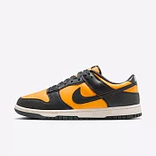 Nike Dunk Low Retro [HF5441-700] 男 運動休閒鞋 低筒 復古鞋 舒適 穿搭 蝙蝠俠 黃黑