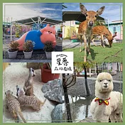 宜蘭星夢森林劇場門票