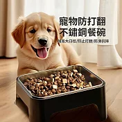 CS22 寵物防打翻方形不鏽鋼餐碗-1入