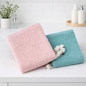 【雲御織】MIT台灣製 抗菌 防霉厚實手感 特波麗 毛巾 防臭 湖水綠