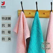 【雲御織】MIT台灣製 抗菌 防霉 特波麗 洗臉 方巾 擦手巾 湖水綠
