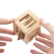 【賽先生科學工廠】金字塔逃脫謎題