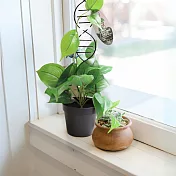 【賽先生科學工廠】DNA雙股螺旋植物攀爬架 黑色