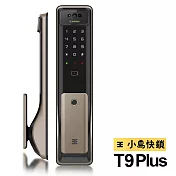 3E小島快鎖 WIFI版掌靜脈辨識九合一電子鎖(T9 Plus+)(金色)(附基本安裝)