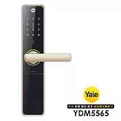 Yale 耶魯 YDM5565四合一智能電子鎖 2色任選(附基本安裝) 香檳金