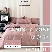 【AGAPE雅家倍】MIT台灣製 經典素色《頂級60支》100%純天絲 雙人5x6.2尺鋪棉兩用被床包四件組(花色任選) 霧玫粉