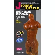 3D立體積木：人體模型(男)