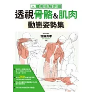 透視骨骼&肌肉 動態姿勢集