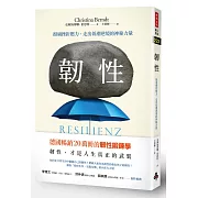 韌性：挺過挫折壓力，走出低潮逆境的神秘力量