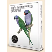 鸚鵡精細插畫明信片：生態畫家蔡錦文作品選2