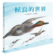 候鳥的世界