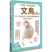 文鳥的幸福飼育指南