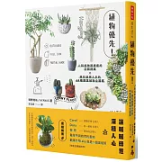 植物優先！人和植物都療癒的空間提案X現在就想入手的64種觀葉植物全圖鑑