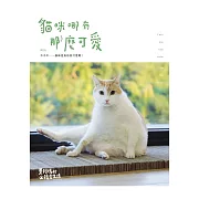 黃阿瑪的後宮生活：貓咪哪有那麼可愛 (電子書)
