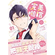 完美啪檔 01 小說 (限制級) (電子書)