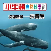 小牛頓自然科學小百科：深海潛將--抹香鯨 (有聲書)