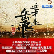 這才是岳飛 第一部 (有聲書)