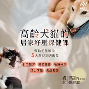 高齡犬貓的居家紓壓保健課：幫助毛孩解決５大常見初老現象 (影片)