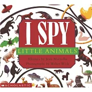 I Spy Little Animals: A Book of Picture Riddles