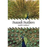 Peacock Feathers