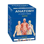 Anatomy