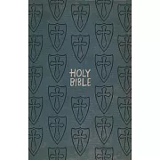 Holy Bible: International Children’s Bible, Gift & Award Bible, Boys Edition