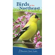 Birds of the Northeast