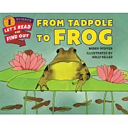 From Tadpole to Frog