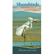 Shorebirds of the Southeast & Gulf States: Your Way to Easily Identify Shorebirds