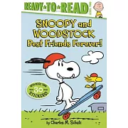 最有趣雙拍檔 的有趣故事