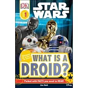 What Is a Droid?