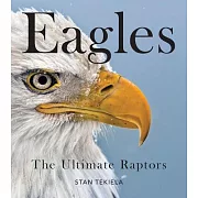 Eagles: The Ultimate Raptors