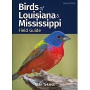 Birds of Louisiana & Mississippi Field Guide