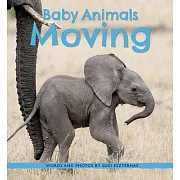 Baby Animals Moving