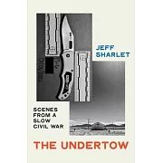 The Undertow: Scenes from a Slow Civil War