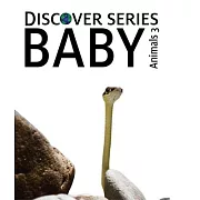 Baby Animals 3