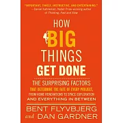 How Big Things Get Done