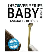 Baby Animals 3 / Animales Bebés 3