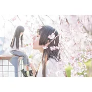 太樓寫真手冊：ロードムービー