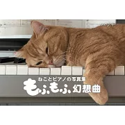 可愛貓咪與鋼琴寫真手冊：毛茸茸幻想曲