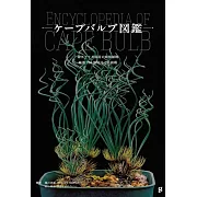 南非球根植物CAPE BULB圖鑑解析手冊