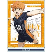 排球少年！！壓克力立牌：日向翔陽