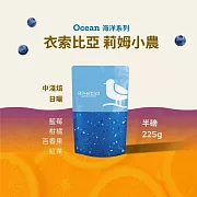 【江鳥咖啡 RiverBird】衣索比亞 莉姆小農 咖啡豆(半磅)