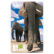 【受託代銷】icash 2.0 Discovery動物星球-非洲象icash(含運費)