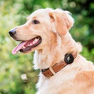 SGP / Spigen AirTag Pet Collar 寵物項圈環保護殼 黑