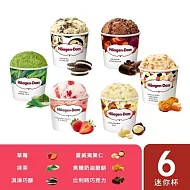 【Haagen-Dazs 哈根達斯】極致慶禮100ml 6入組