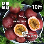 預購[ 大目農田 ] 百香果 - 甜蜜滋味濃烈原生種 (10斤) 限時免運！