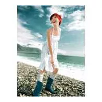 孫燕姿 / 完美的一天